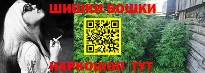 не бодяженный Сланцы